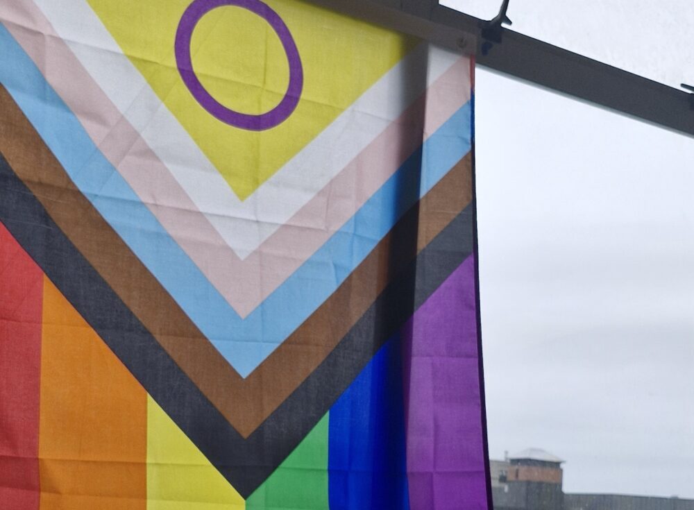 Progress flag A progress pride flag hanging on a window