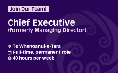 Seeking Chief Executive