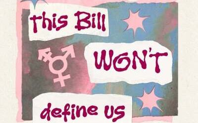 This Bill Won’t Define Us: Oppose the discriminatory Legislation (Definitions of Woman and Man) Amendment Bill.