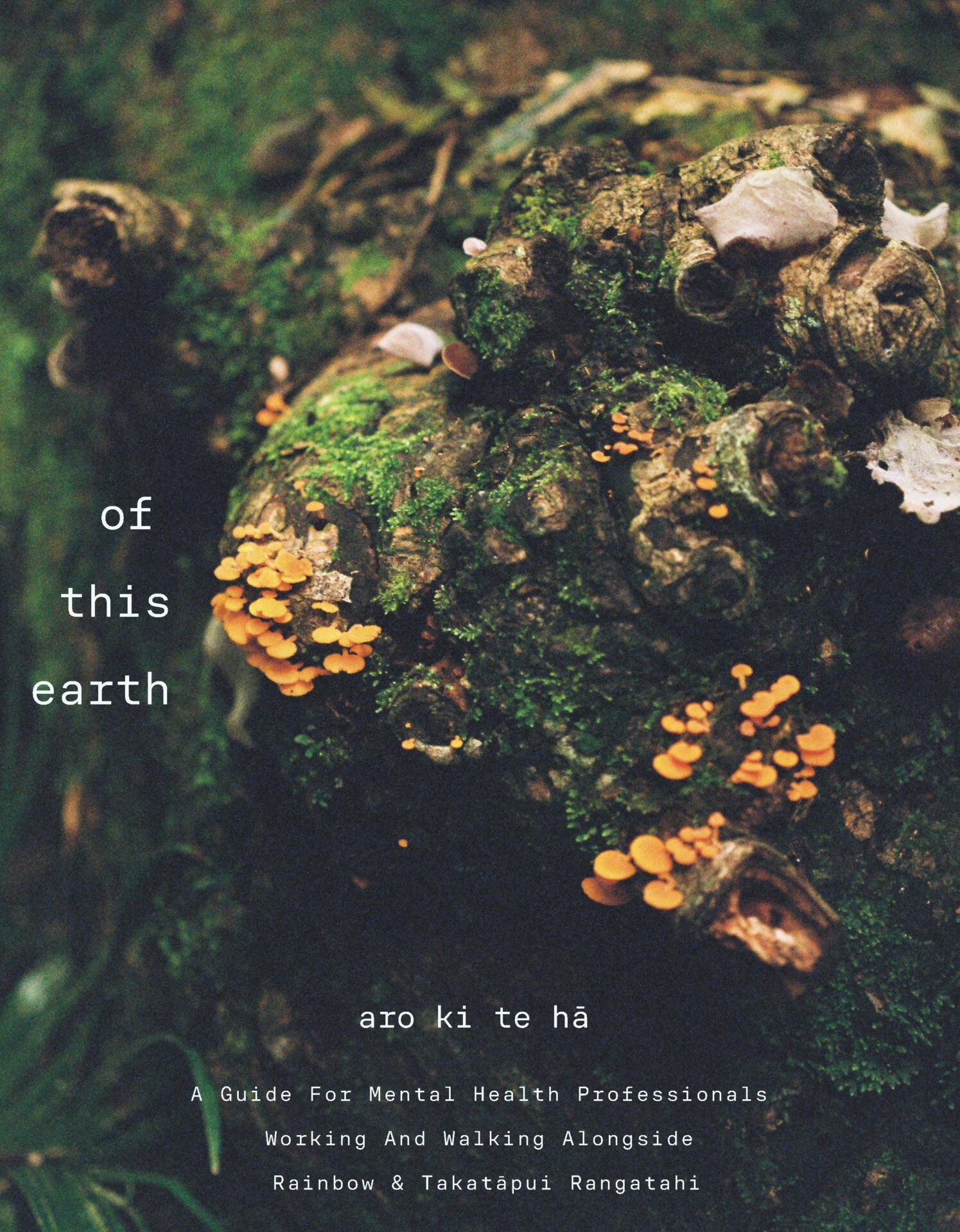 Aro ki te Hā - reflective journal. E iti noa ana nā te aroha - a small thing given with love